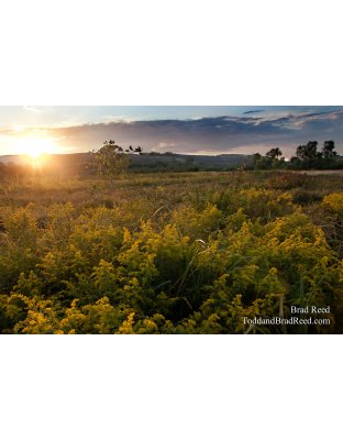 Sleeping Bear Dunes (3506)