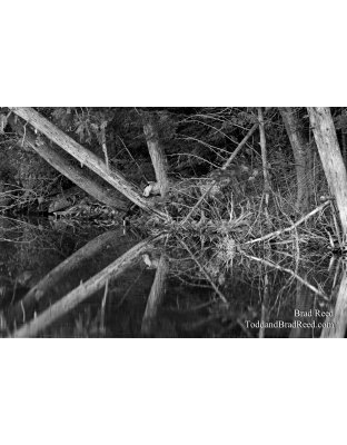 Taken at Gerlach Workshop in Munising (3733)