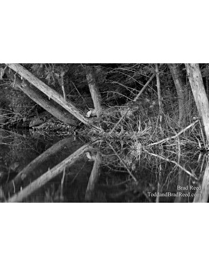 Taken at Gerlach Workshop in Munising (3733)