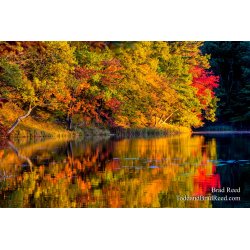 Workshop at Ludington State Park (3852)