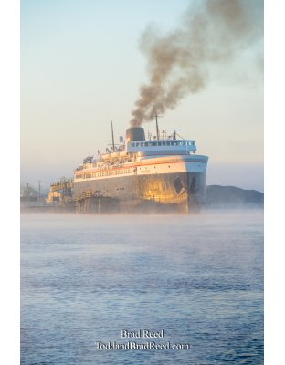 Badger in Fog (3947)