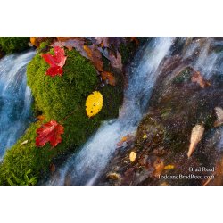 Gerlach Workshop in Munising (3977)