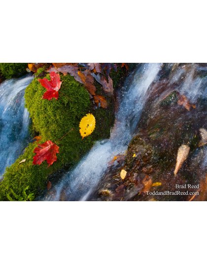 Gerlach Workshop in Munising (3977)