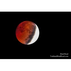 Blood Moon