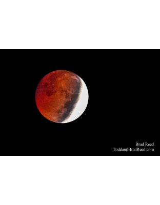 Blood Moon