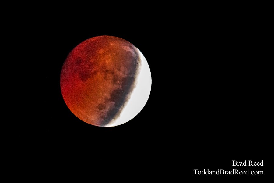 Blood Moon