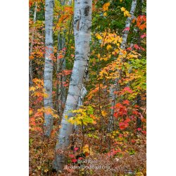 Taken at Gerlach Workshop in Munising (4067)
