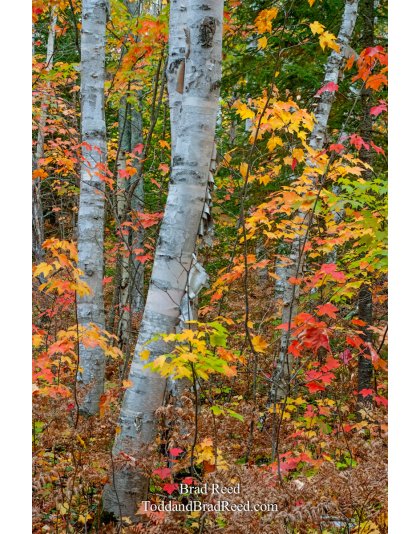 Taken at Gerlach Workshop in Munising (4067)