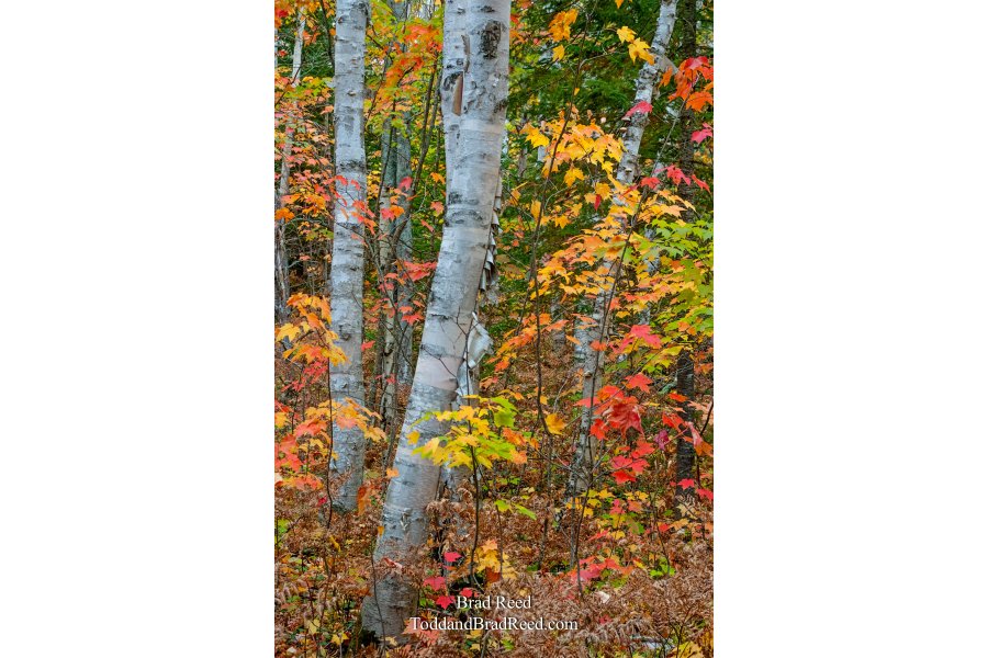 Taken at Gerlach Workshop in Munising (4067)
