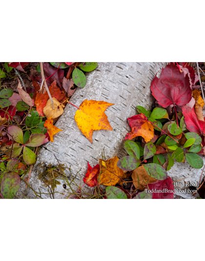 Taken at Gerlach Workshop in Munising (4141)