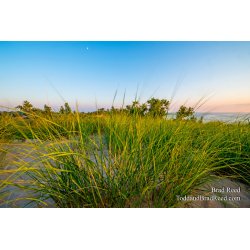 Muskegon State Park (4231)