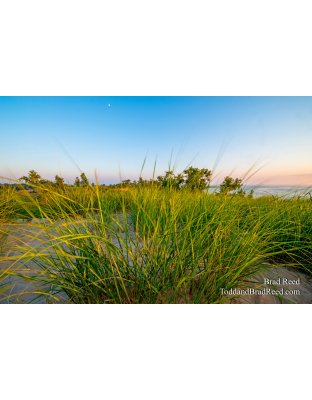 Muskegon State Park (4231)