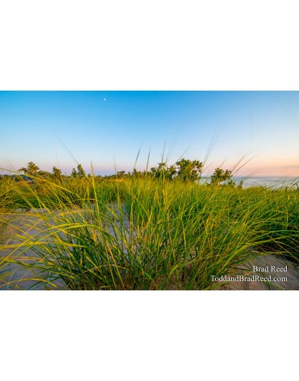 Muskegon State Park (4231)