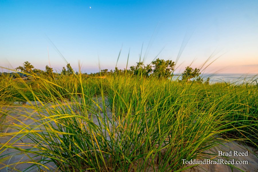 Muskegon State Park (4231)