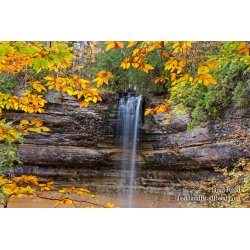 Gerlach Workshop in Munising (4231)