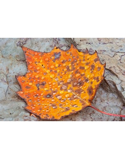 Taken at Gerlach Workshop in Munising (4265)