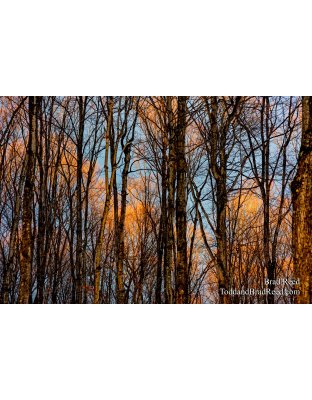 Eben Ice Caves (4334)