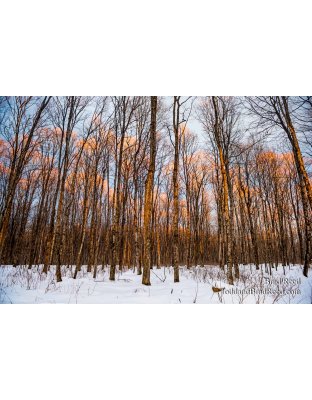 Eben Ice Caves (4335)