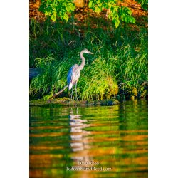 Ludington State Park (4557)