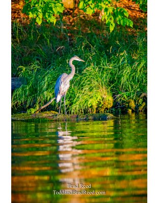 Ludington State Park (4557)