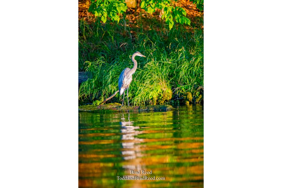 Ludington State Park (4557)