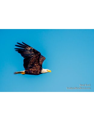 Ludington State Park (4608)