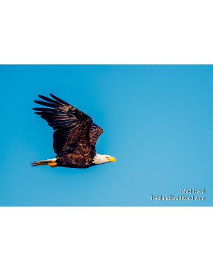 Ludington State Park (4608)