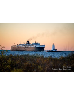 Ludingtons Lady (4963)