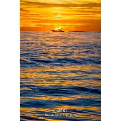 Workshop at Ludington State Park (5423)
