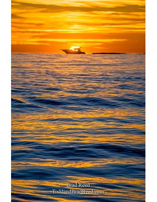 Workshop at Ludington State Park (5423)