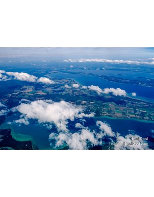 Tuesdays With Todd and Brad Reed (5425)