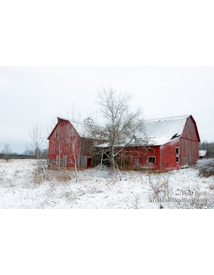 Wednesday December (6076)