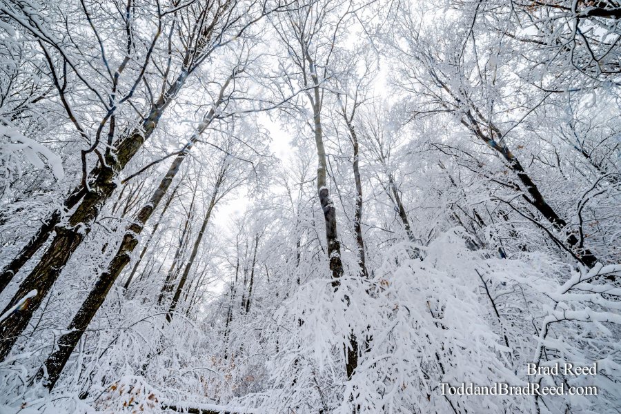 Wednesday December (6096)