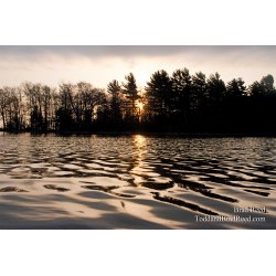 Ludington State Park May Workshop (6314)