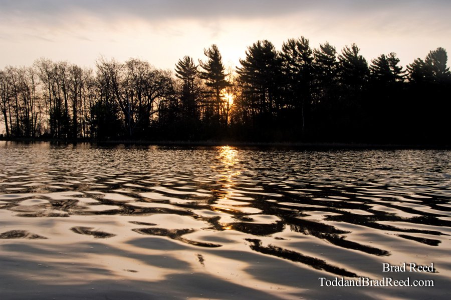 Ludington State Park May Workshop (6314)