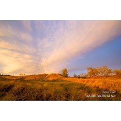 Ludington State Park Workshop (6975)