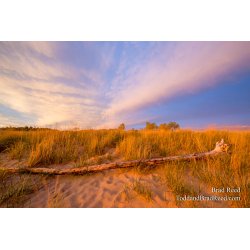 Ludington State Park Workshop (6977)