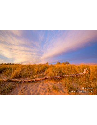 Ludington State Park Workshop (6977)