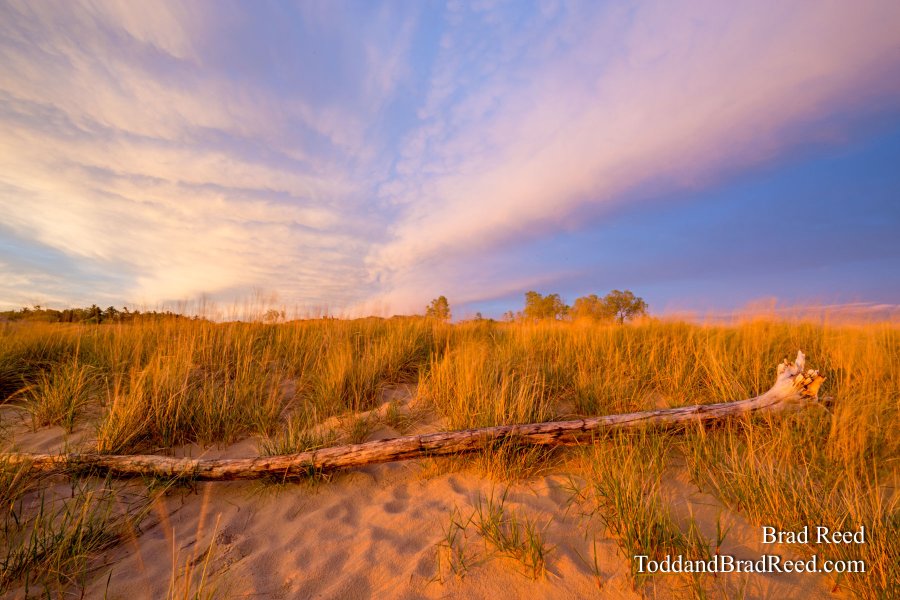 Ludington State Park Workshop (6977)