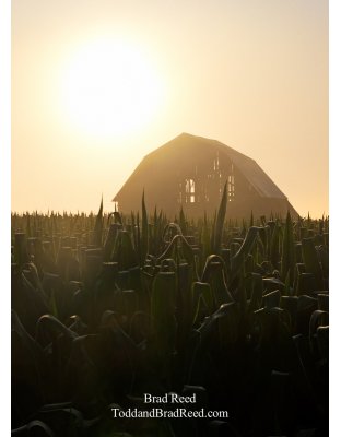 Country Strong_Vertical Crop