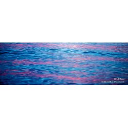 Cotton Candy - Panoramic