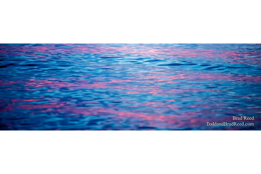 Cotton Candy - Panoramic