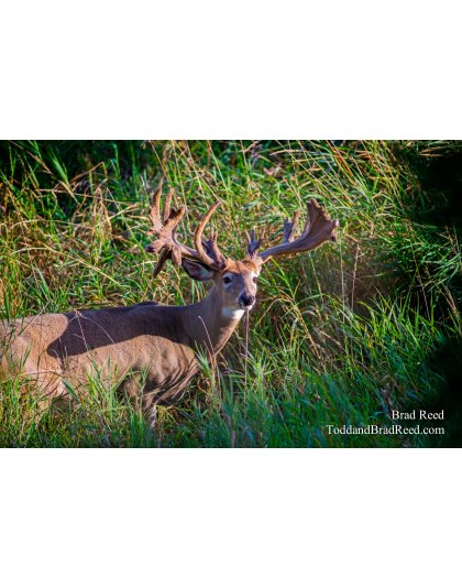 Driving in Truck at Legends Deer Ranch (7736)