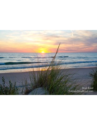 Tuesdays With Todd and Brad Reed (7925)