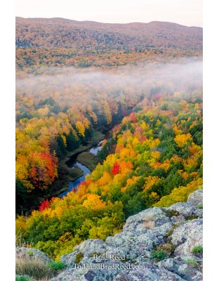 Tuesdays With Todd and Brad Reed (7999)