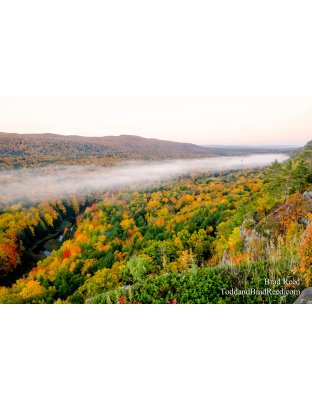 Tuesdays With Todd and Brad Reed (8000)