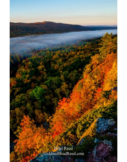 Tuesdays With Todd and Brad Reed (8009)