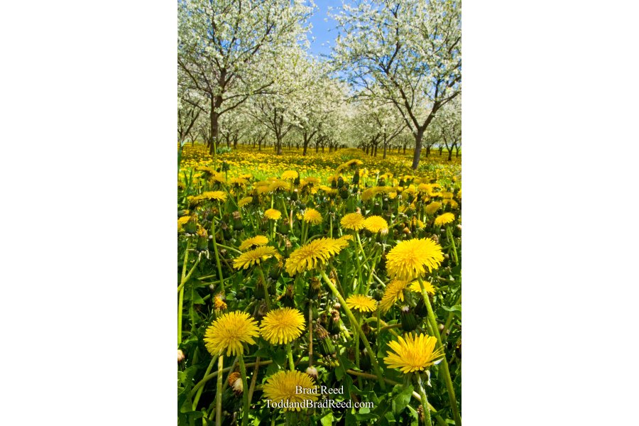 May (8042)