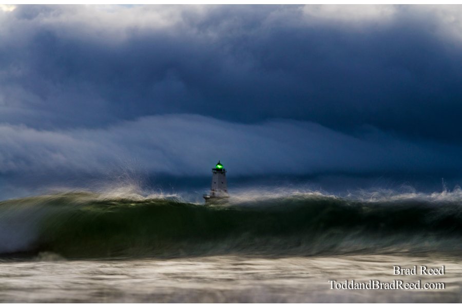 Amidst the Fury