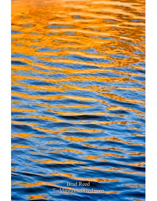 Sweet Water - Vertical